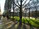  soleil de janvier, à travers les arbres du Luxembourg